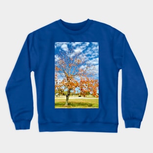 Enjoy the Day Crewneck Sweatshirt